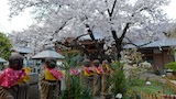 近くのお寺の境内で