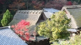 鳥居本の茅葺き集落