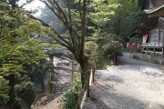 玉置神社の境内