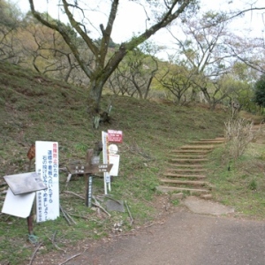 本来ならこの場所へ