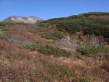 静かな登山道