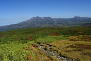 湿地帯が続く