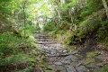 石畳の登山道