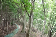 人気の無い登山道