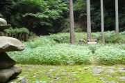 浄発願寺の跡