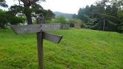 開けた櫟山の頂上