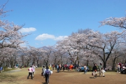 権現山頂上広場