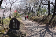 頂上までは緩やかな道