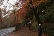 高山寺の裏参道