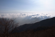 雲海