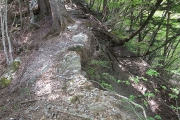 ショートカット登山道