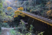 ケーブルカーの線路