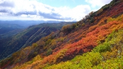 紅葉真っ盛り