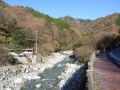 中川川の清流