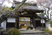 勝持寺（花の寺）