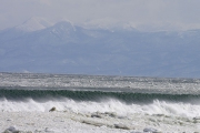 海岸線をお散歩