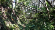 登山道