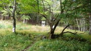 中宮八幡堂の跡地