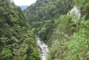 渓流沿いに林道を下る