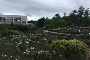 高山植物園