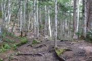 小富士遊歩道と合流