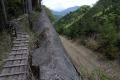 林道をバイパスする山道