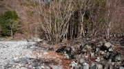 河川敷の中州