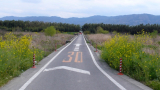 菜の花の細道を行く