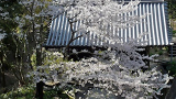 熊谷寺の山門