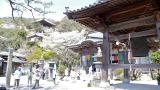 切幡寺の境内