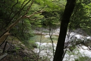 垢離取り場が見えてきた