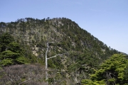 釈迦ヶ岳を振り返る