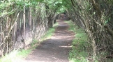 road03.jpg
