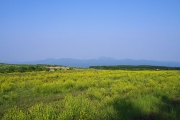 青空と黄色のコントラスト
