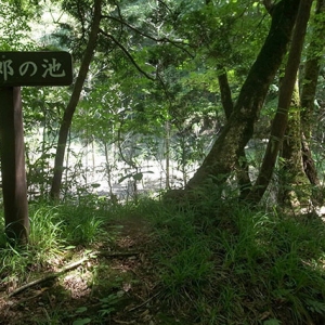 四五郎の池は涸れていた