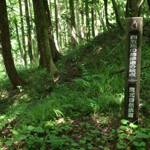 東北自然歩道の標識