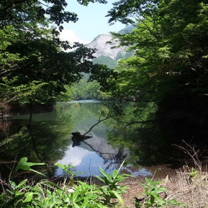 糸畑の池から大崩れ