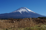 大沢崩れ