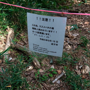 スズメバチ出没の警告