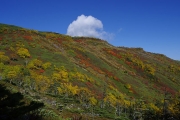 紅葉が見頃
