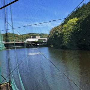 池ぽちゃゴルフ練習場