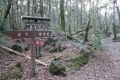 富岳風穴 富岳風穴