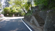 舗装された林道へ