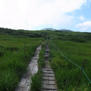 木道の緩やかな登山道