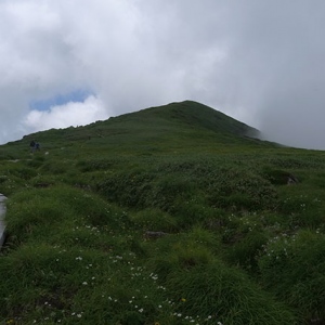 ガスがかかってきた