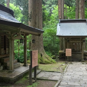 参道沿いの小社