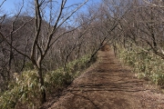 丸岳方面へ