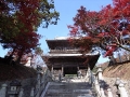 山門付近の紅葉                                                           