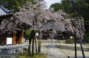 弘川寺の境内