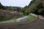長閑な田園地帯